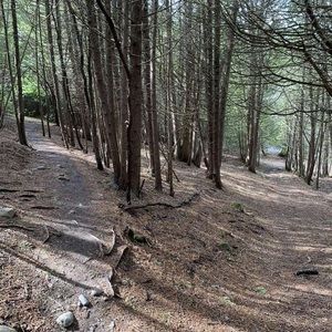 Meet your Posher, Cameron